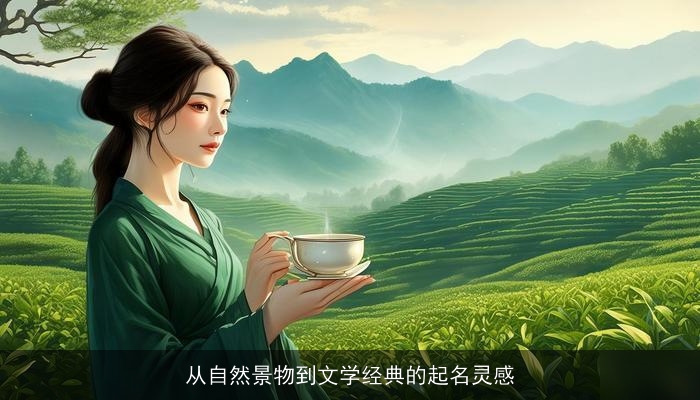 从自然景物到文学经典的起名灵感