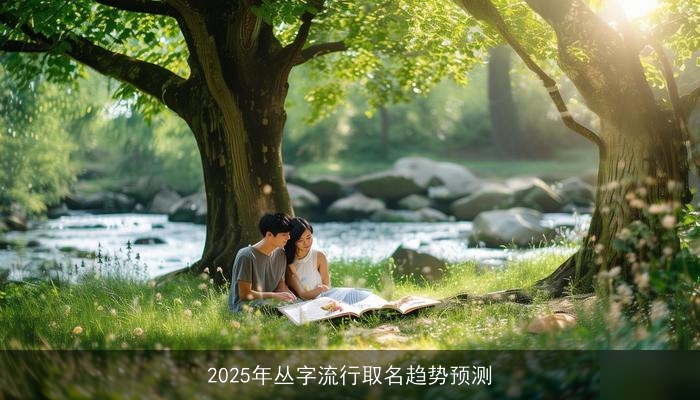 2025年丛字流行取名趋势预测