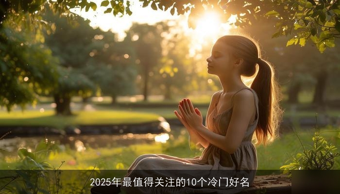 2025年最值得关注的10个冷门好名