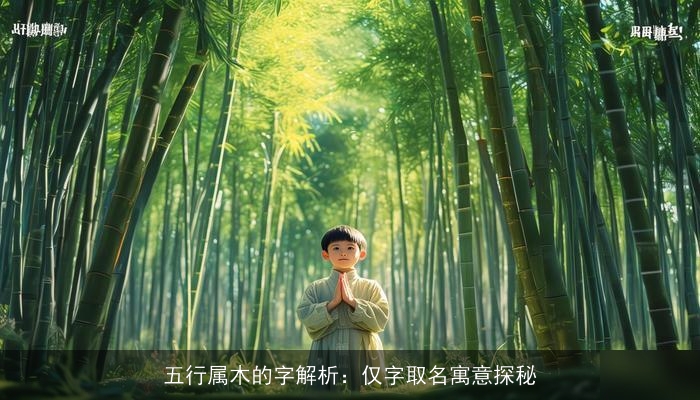 五行属木的字解析：仅字取名寓意探秘