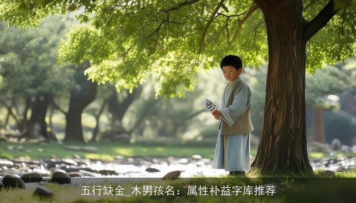 五行缺金_木男孩名：属性补益字库推荐