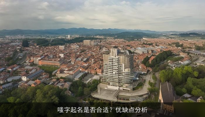 嗤字起名是否合适？优缺点分析