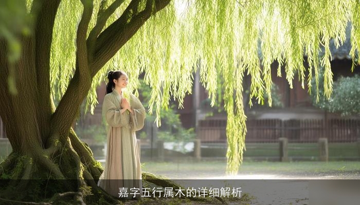 嘉字五行属木的详细解析