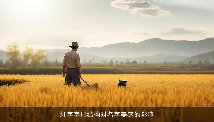 圩字字形结构对名字美感的影响