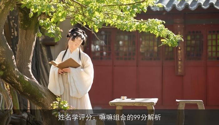 姓名学评分：嘛嘛组合的99分解析
