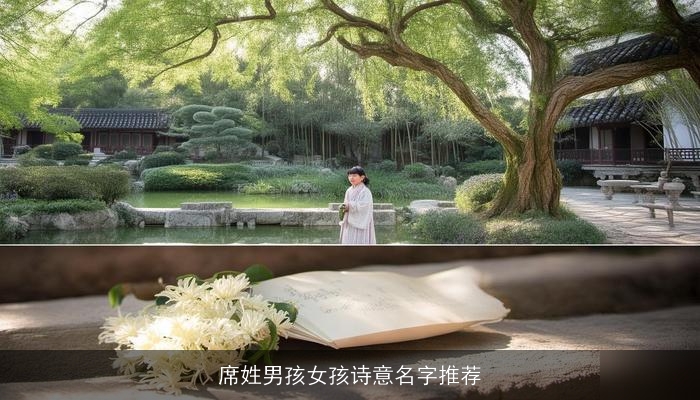 席姓男孩女孩诗意名字推荐