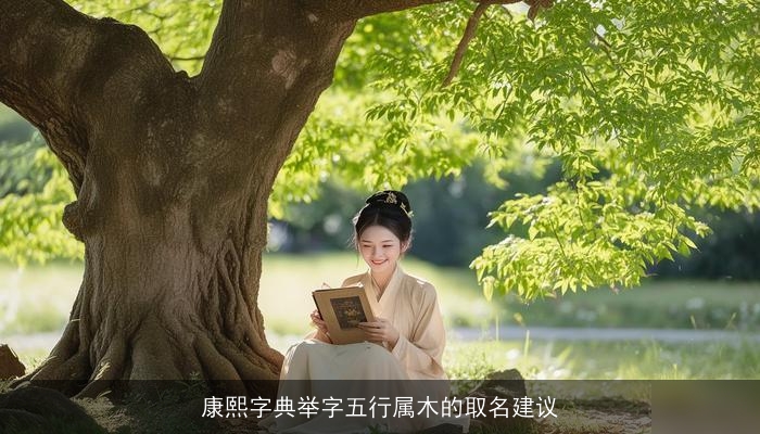 康熙字典举字五行属木的取名建议
