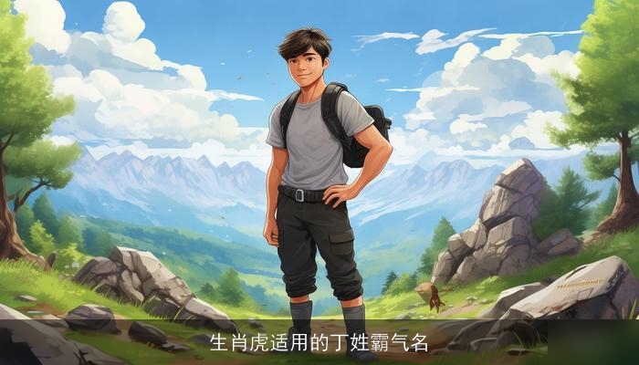 生肖虎适用的丁姓霸气名