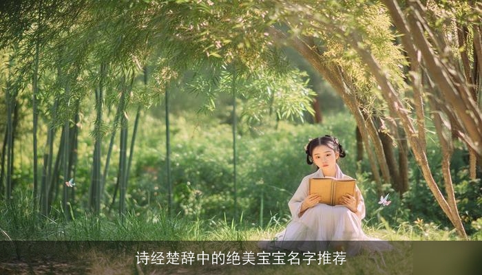 诗经楚辞中的绝美宝宝名字推荐