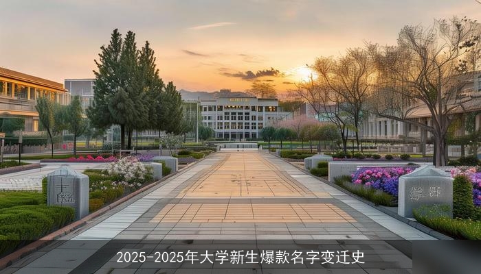 2025-2025年大学新生爆款名字变迁史