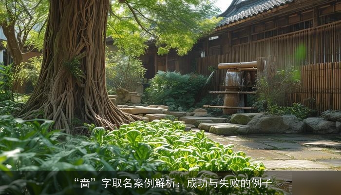 “啬”字取名案例解析：成功与失败的例子