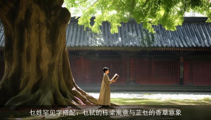 乜姓罕见字搭配：乜轼的栋梁寓意与芷乜的香草意象