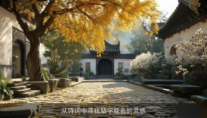 从诗词中寻找姑字取名的灵感