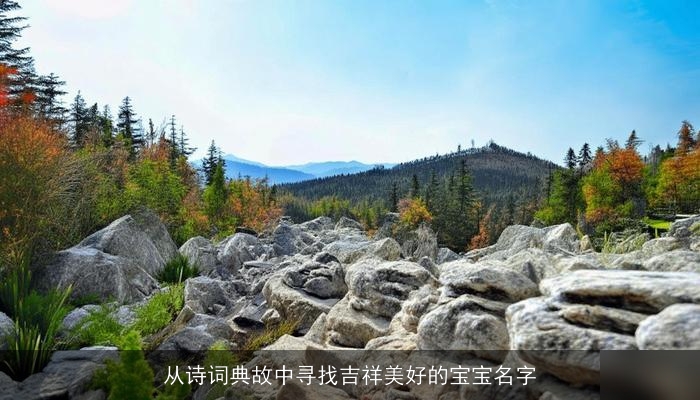 从诗词典故中寻找吉祥美好的宝宝名字