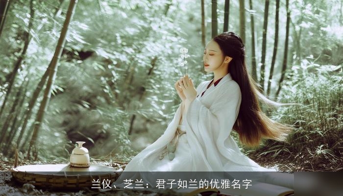 兰仪、芝兰：君子如兰的优雅名字