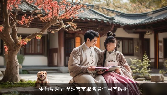 生肖配对：羿姓宝宝取名最佳用字解析