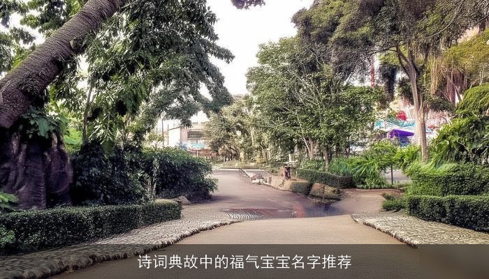 诗词典故中的福气宝宝名字推荐