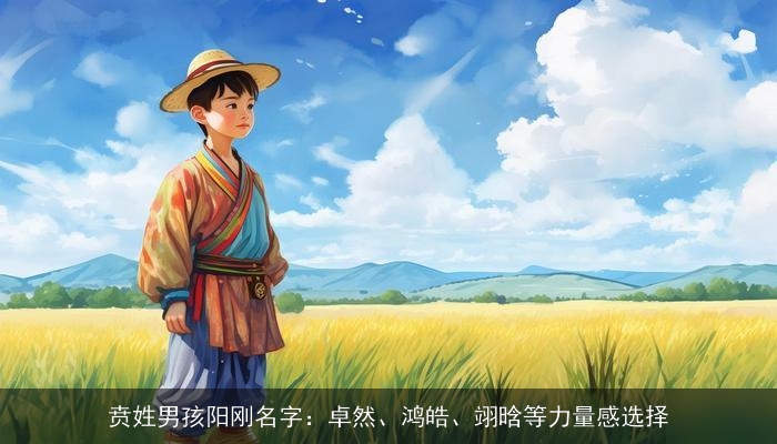 贲姓男孩阳刚名字：卓然、鸿皓、翊晗等力量感选择