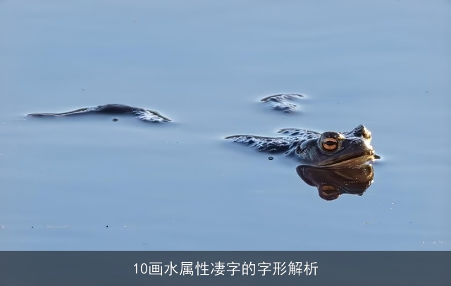 10画水属性凄字的字形解析