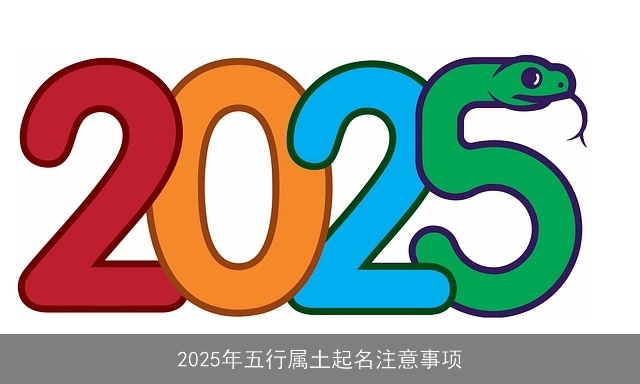 2025年五行属土起名注意事项