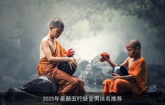 2025年最新五行缺金男孩名推荐