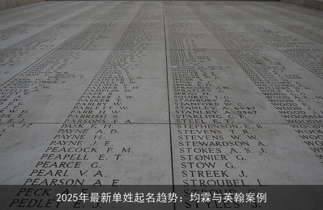 2025年最新单姓起名趋势：均霖与英翰案例