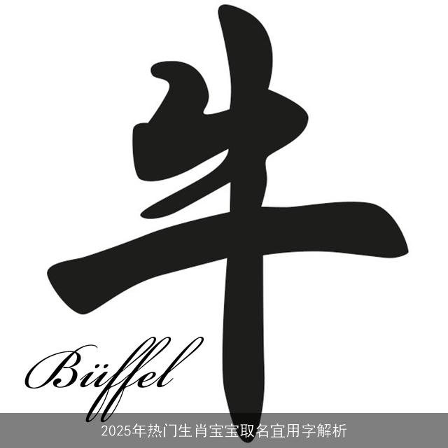 2025年热门生肖宝宝取名宜用字解析