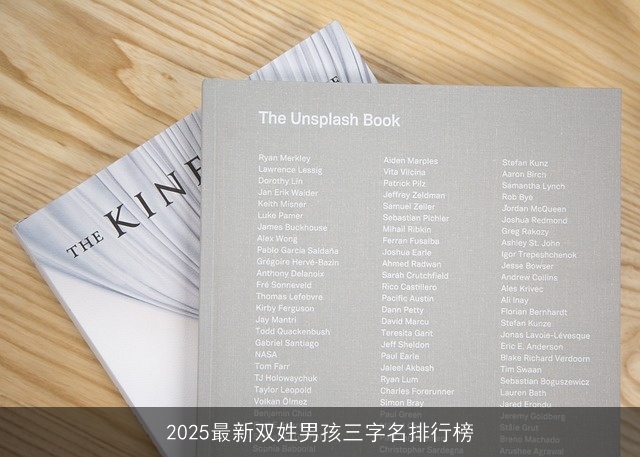 2025最新双姓男孩三字名排行榜