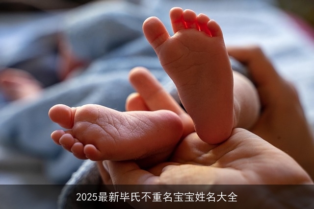 2025最新毕氏不重名宝宝姓名大全