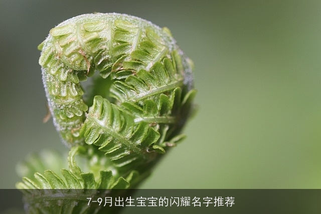 7-9月出生宝宝的闪耀名字推荐