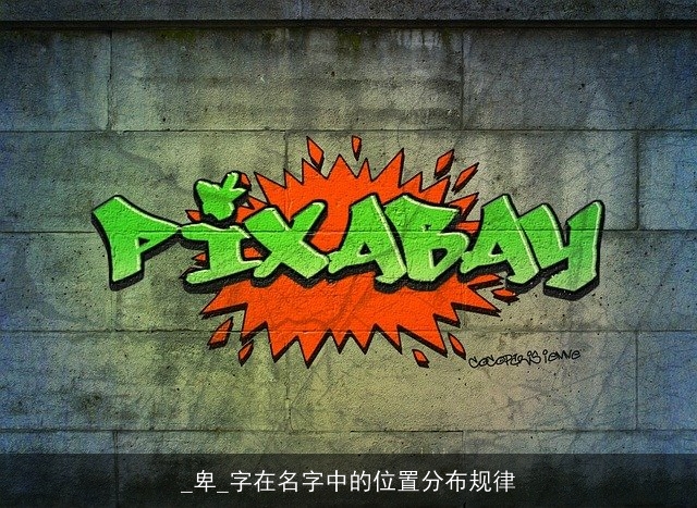 _卑_字在名字中的位置分布规律