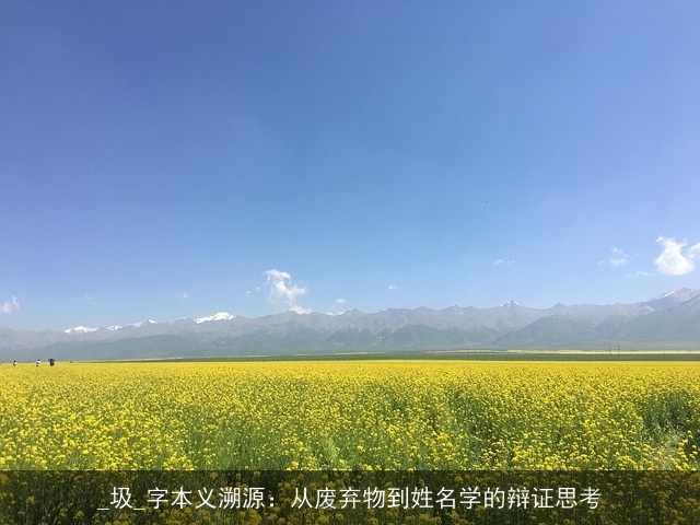 _圾_字本义溯源：从废弃物到姓名学的辩证思考