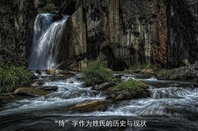 “侍”字作为姓氏的历史与现状