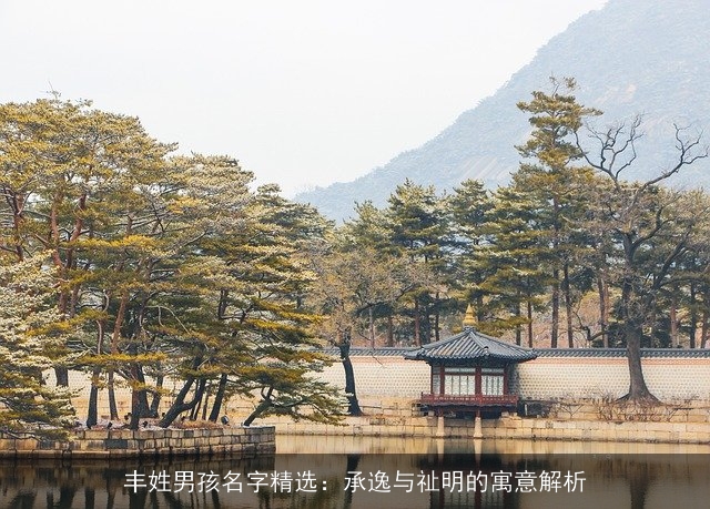 丰姓男孩名字精选：承逸与祉明的寓意解析