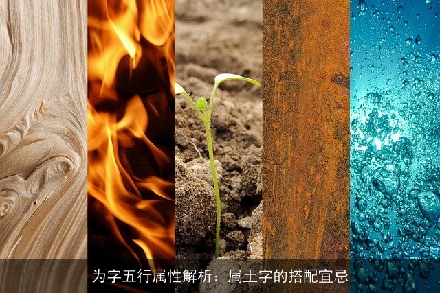 为字五行属性解析：属土字的搭配宜忌