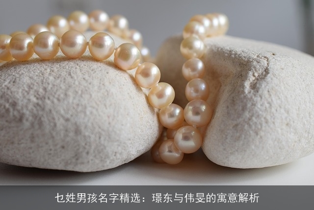 乜姓男孩名字精选：璟东与伟旻的寓意解析