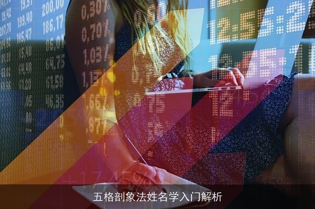 五格剖象法姓名学入门解析