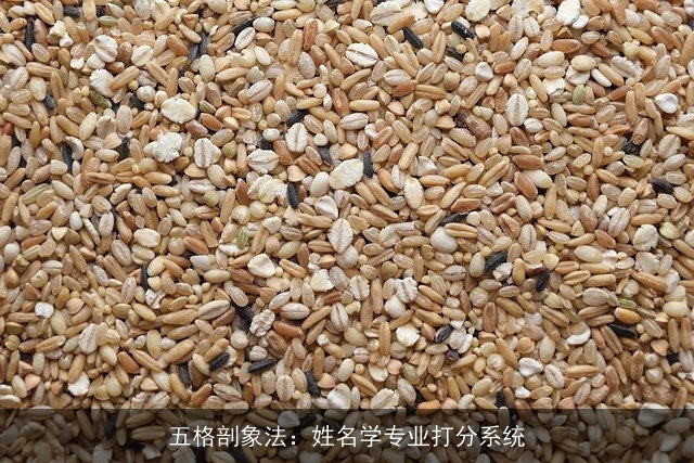 五格剖象法：姓名学专业打分系统