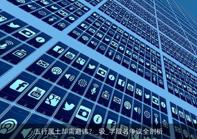 五行属土却需避讳？_圾_字取名争议全剖析