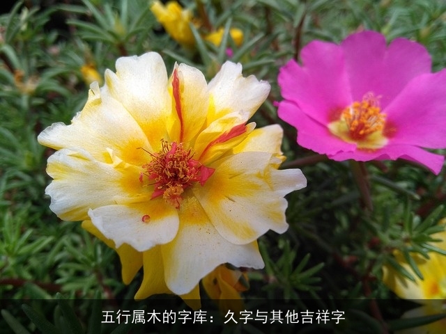 五行属木的字库：久字与其他吉祥字