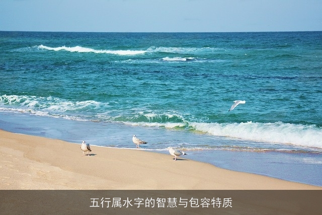 五行属水字的智慧与包容特质