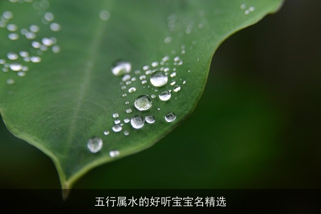 五行属水的好听宝宝名精选