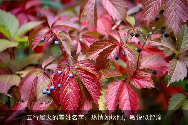 五行属火的霍姓名字：热情如熠阳，敏锐似智潼