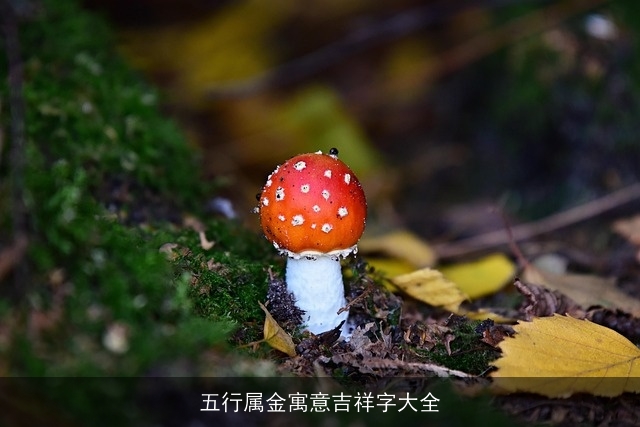 五行属金寓意吉祥字大全