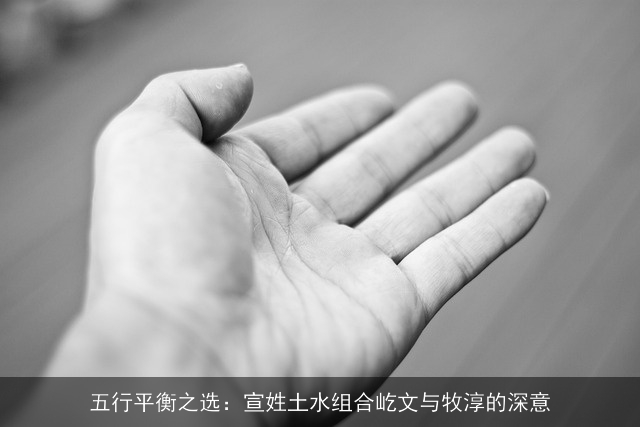 五行平衡之选：宣姓土水组合屹文与牧淳的深意