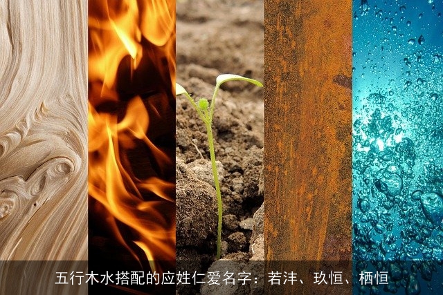 五行木水搭配的应姓仁爱名字：若沣、玖恒、栖恒