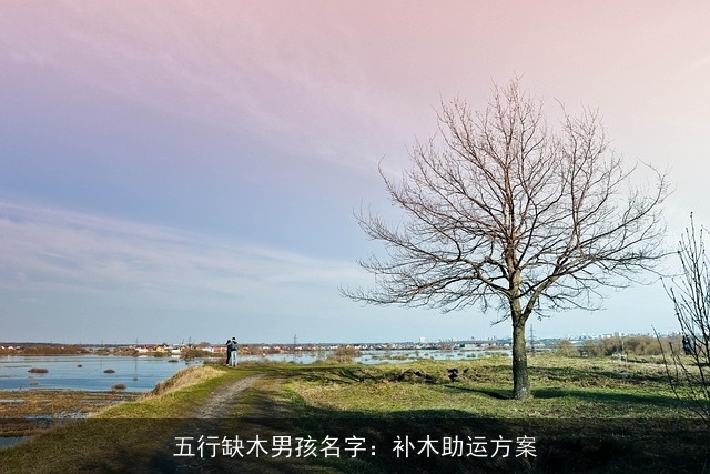 五行缺木男孩名字：补木助运方案