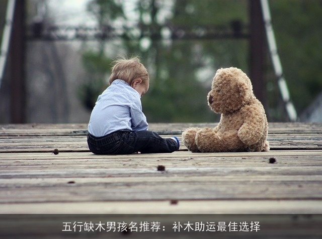 五行缺木男孩名推荐：补木助运最佳选择