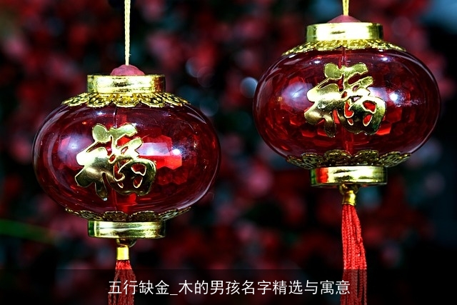 五行缺金_木的男孩名字精选与寓意