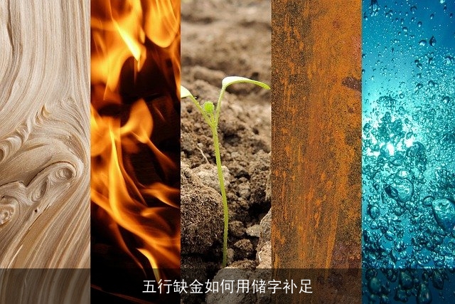 五行缺金如何用储字补足